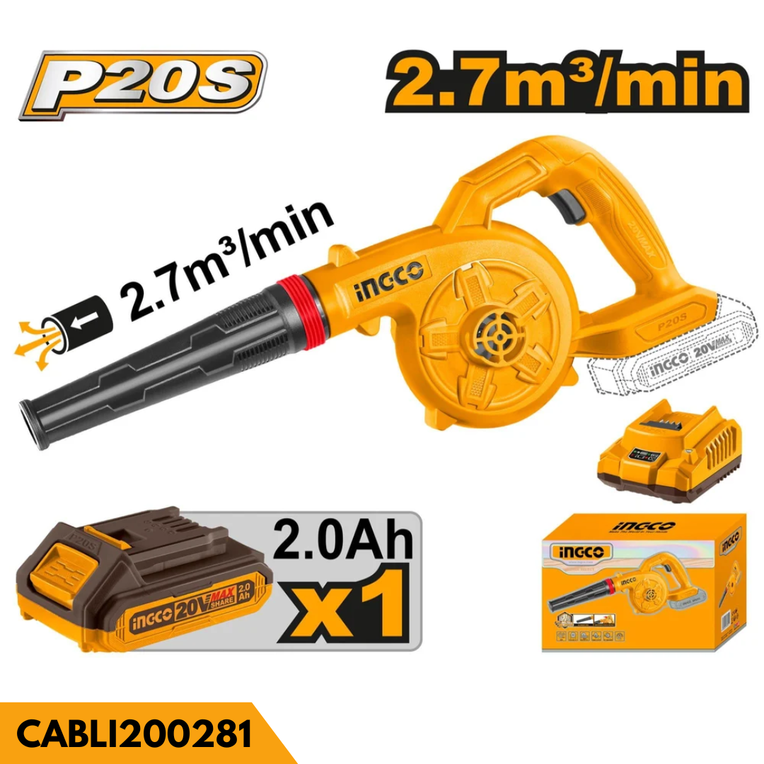 CABLI200281