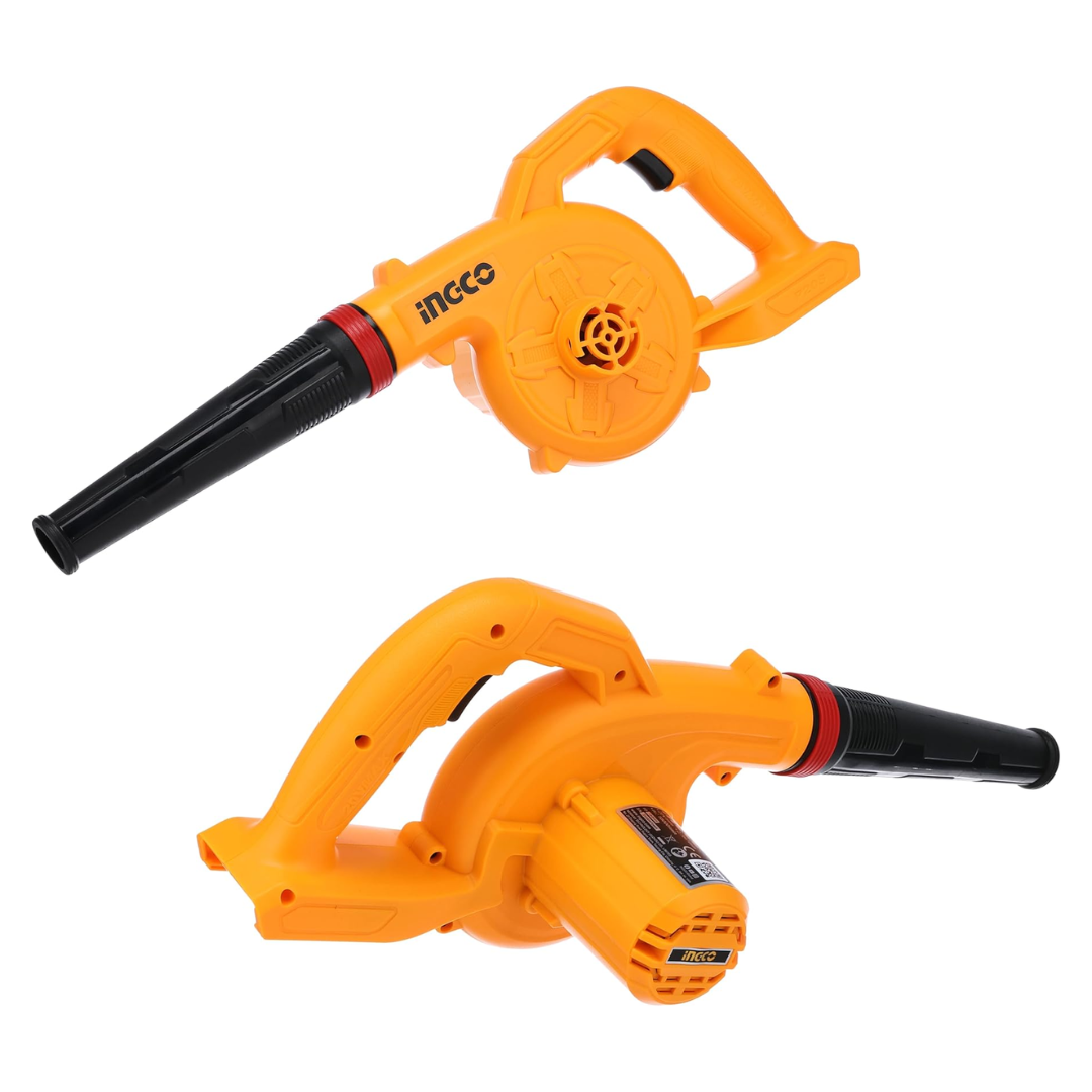 CABLI200281